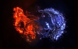 Image of fire wolf wallpaper 9