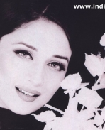 maduri dixit wallpapers 4 maduri dixit wallpapers 4