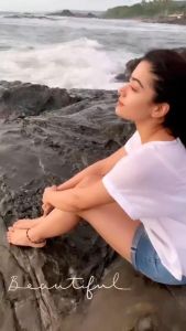 rsshmika mandanna hd images 37