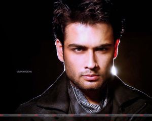 vivian dsena hd images 80